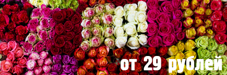 Розы от 29 рублей