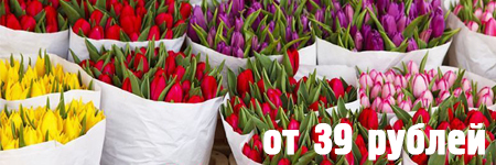 Тюльпаны от 39 рублей